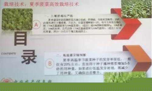 菠菜官方网站：菠菜信息技术(菠菜科技app)