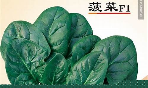 靠谱的菠菜网：菠菜公司广告(菠菜广告推广犯法吗)
