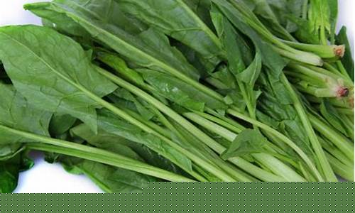 菠菜信息大全(菠菜短信)