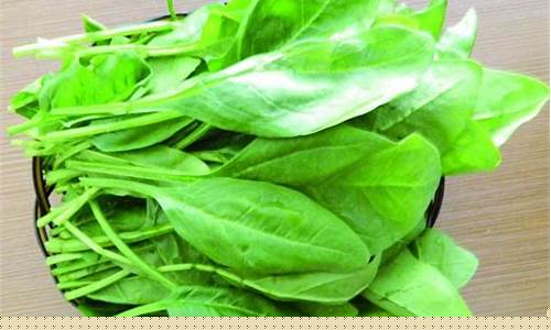 菠菜大全(菠菜大全最新)