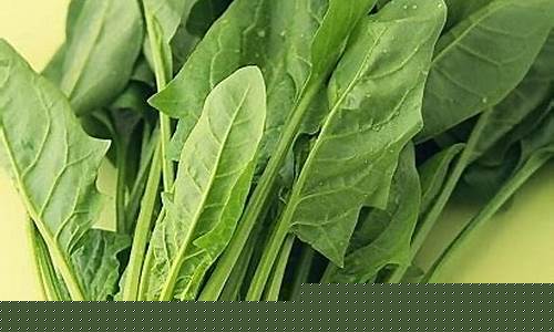 菠菜公司网址(菠菜公司下载)